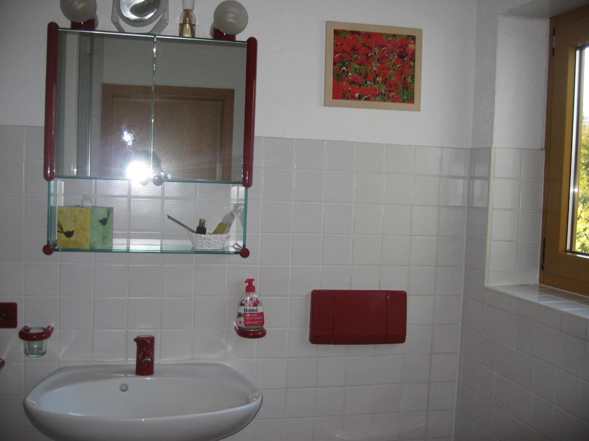 Apartamento Unterm Nussbaeumle Adelhausen Exterior foto